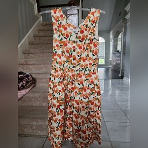 NWT UK Sz 8 Emily and Fin Citrus Print Dress